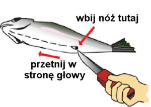 patroszenie pstrąga