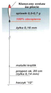płoć i wzdręga