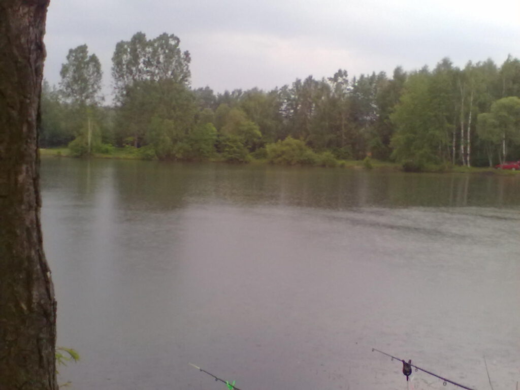 łowisko wielki staw